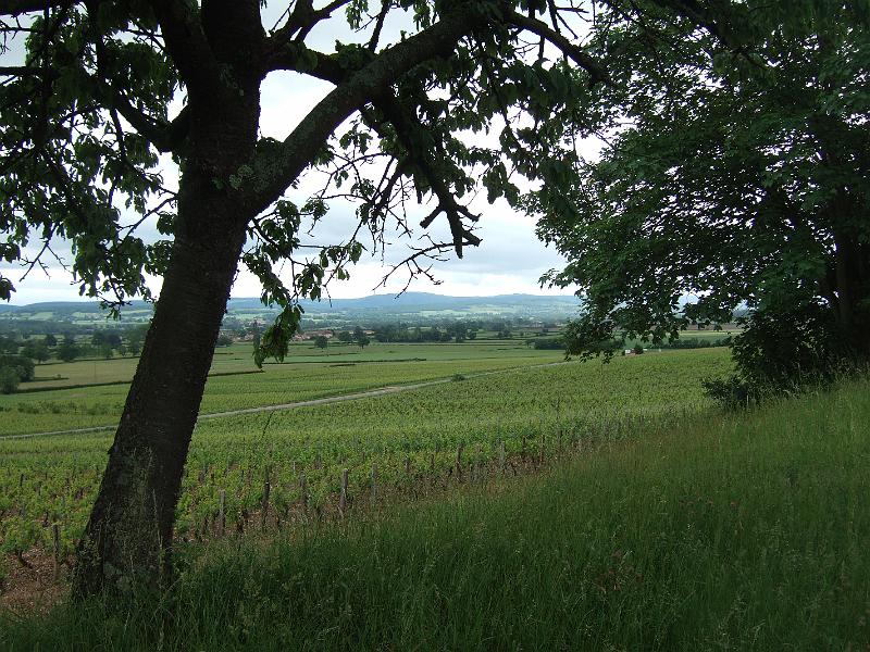 2010-05- (82).JPG